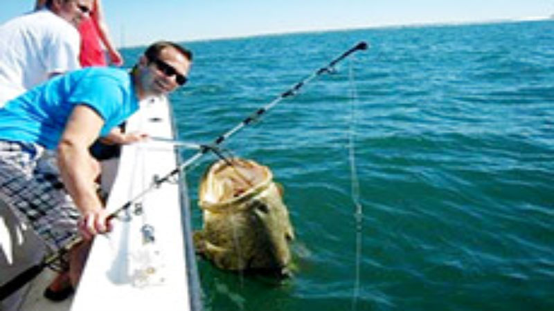 Fishing in Naples, FL Provides an Opportunity to Experience Many Different Types of Fish